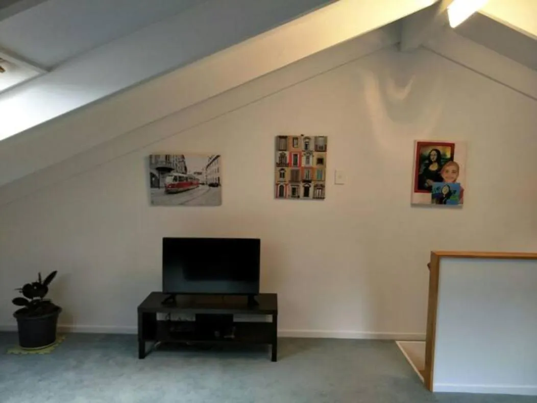 Amazing Lakeview Loft Rotorua New Zealand