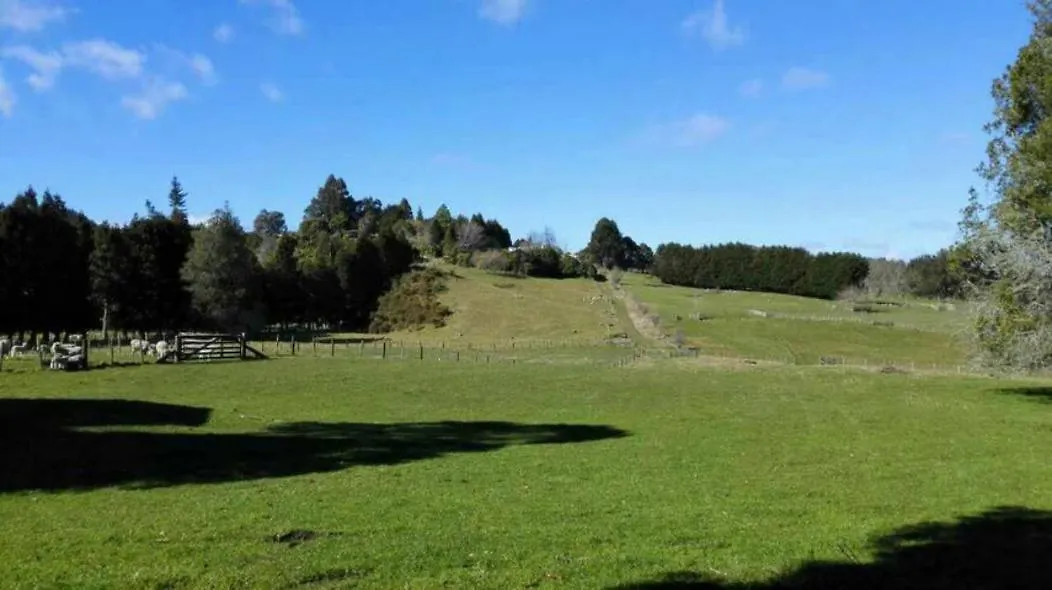 Amazing Lakeview Loft Rotorua 0*,